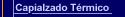 Capialzado Trmico